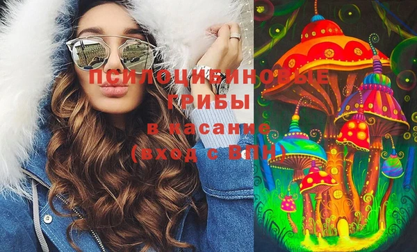 соль ск Приозерск