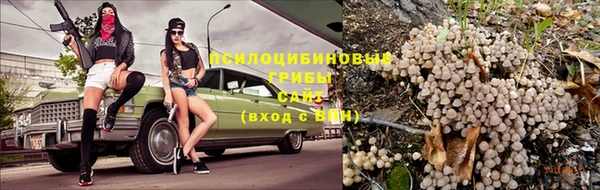 Альфа ПВП Пролетарск
