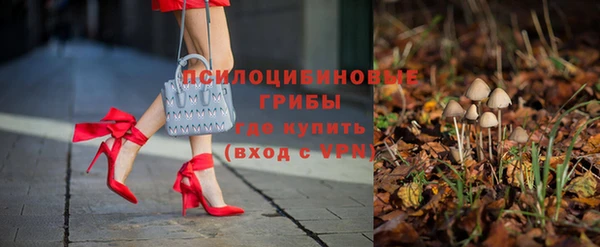 соль ск Приозерск