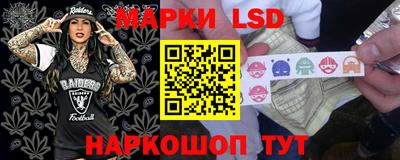 mdpv Гатчина