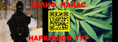 mdpv Гатчина