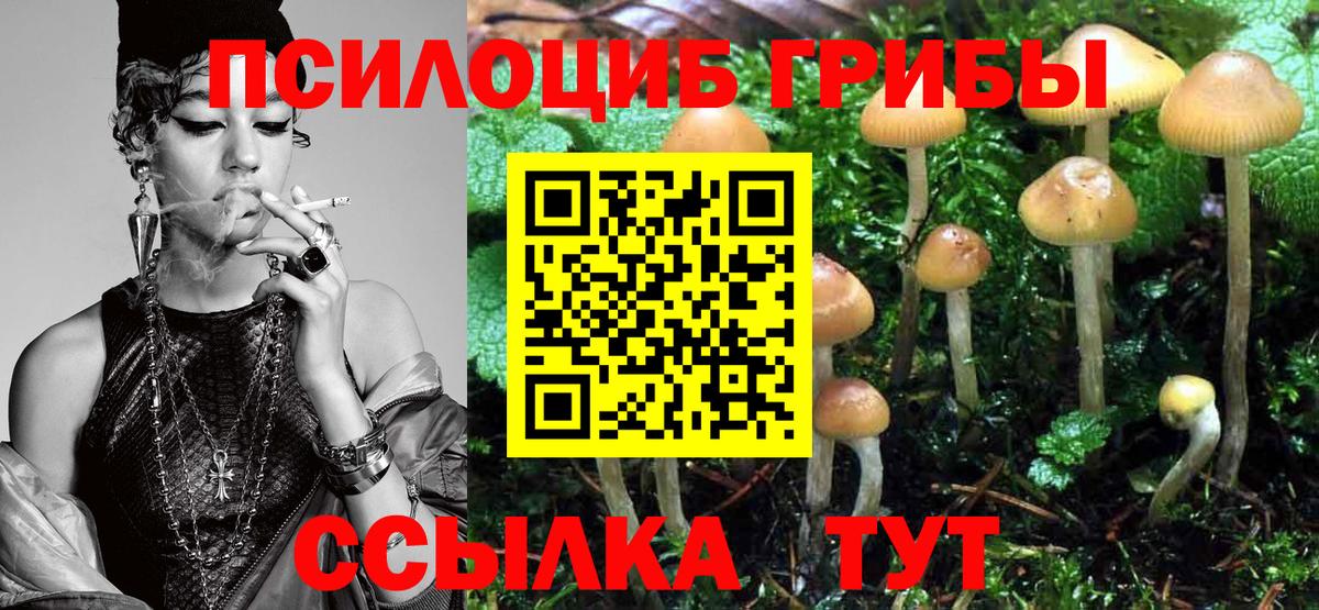 Галлюциногенные грибы Psilocybe  Псилоцибиновые грибы мухоморы  Вход с VPN  Александров 