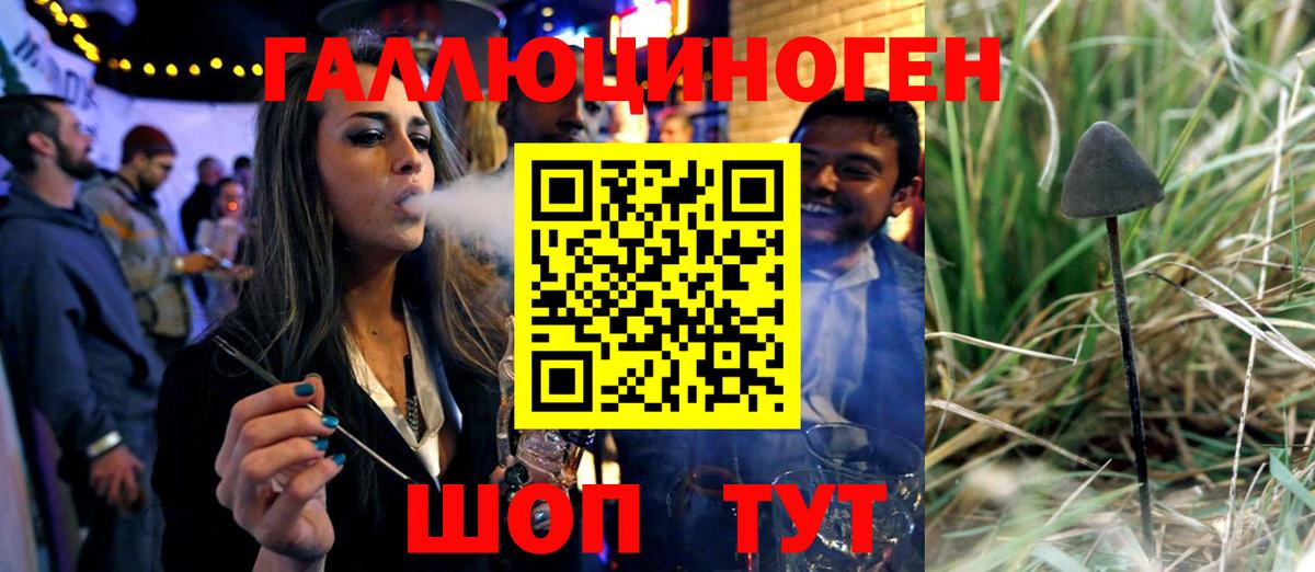 Галлюциногенные грибы Psilocybe  что такое   Александров  Вход с VPN 