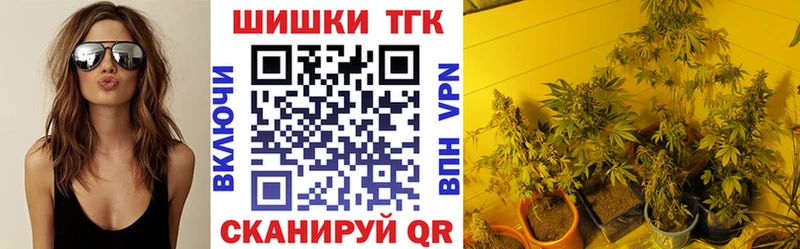 наркота  Александров  Бошки марихуана SATIVA & INDICA 